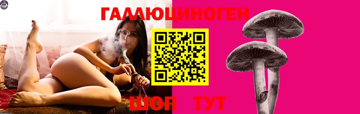 Галлюциногенные грибы прущие грибы  Вход с VPN  Саянск 